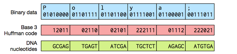 Illustration for article titled Scientists Stored These Images in DNA—Then Flawlessly Retrieved Them